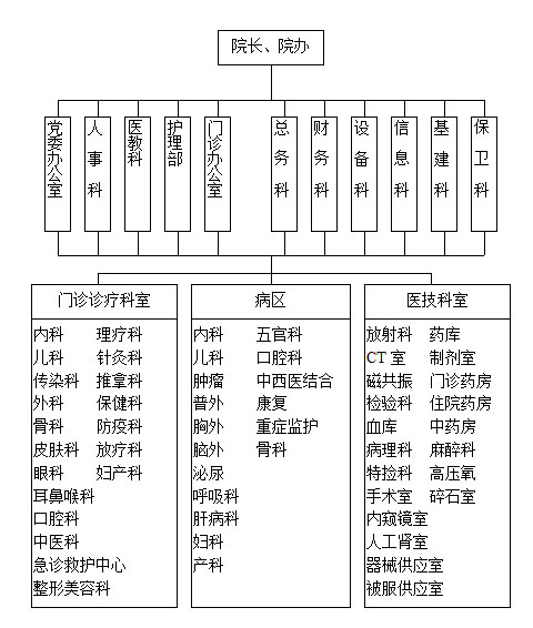 医院组织机构图